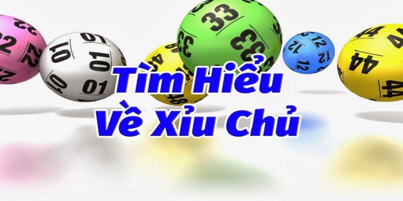 Cùng tìm hiểu phần xỉu chủ là gì